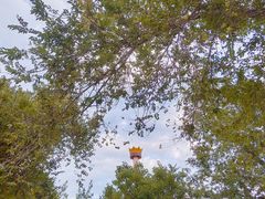 -哈尔滨文化公园