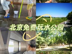 -绿堤公园