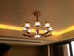 -欧普照明(红星美凯龙浦江店)