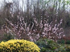 -白鹭湾湿地公园