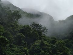 -大七孔景区-天生桥