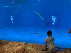 -华夏文旅海洋公园