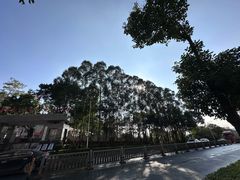 -小南山公园