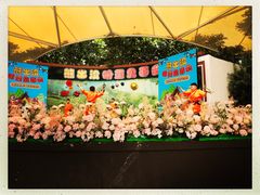 -郑州方特梦幻王国