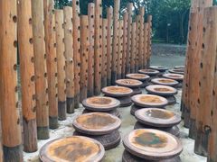 -南宁良凤江国家森林公园