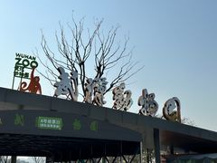 -武汉动物园