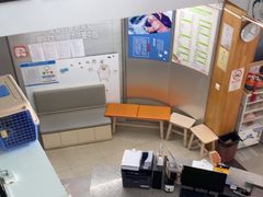 -爱侣宠医·鹦鹉专科·小型哺乳类·异宠专科(灵石路店)