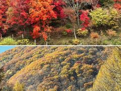 -关门山森林公园