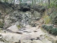 -上海佘山国家森林公园天马山园