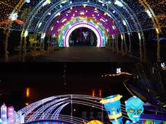 -锦江乐园舞狸花花游园会(夜场专享)