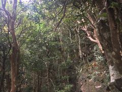-七娘山