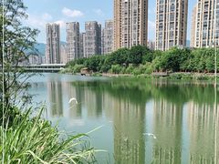 -琴亭湖公园