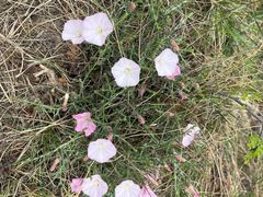 -西安市长乐公园