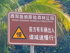 -西双版纳原始森林公园