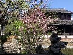 -黎里古镇