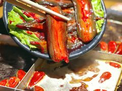 -白乐天毛肚火锅馆(南滨路店)