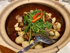 -金鼎轩(亚运村店)