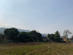 -幽优农庄·森波拉特色本地农家菜