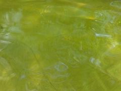 -融汇温泉