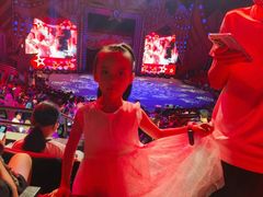 -珠海横琴长隆《卡卡虎奇遇记》