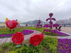 -野狸岛