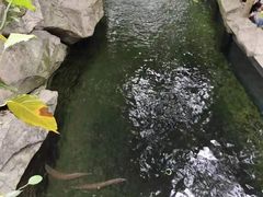 -青青世界