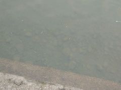 -蒋氏故居