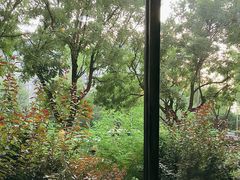 -管氏翅吧(广渠门店)