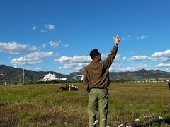 -敕勒川草原