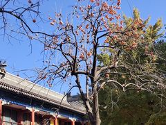 -北京石刻艺术博物馆(五塔寺)