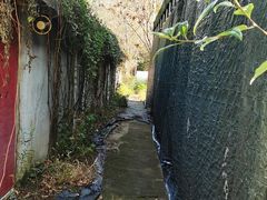 -东湖小天池真人CS彩弹野战基地