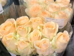 -盒马鲜生(岭南新世界店)