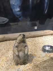 -酷嗒动物文化乐园(cutezoo西溪乐天城店)