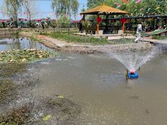 -同銮特种养殖场·龙虾垂钓