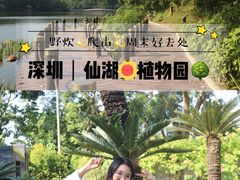 -深圳仙湖植物园-停车场