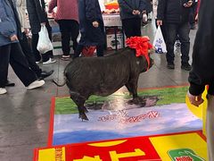 -宁波国际会展中心
