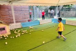 点击看大图 -萌宠亲子动物乐园(槐房万达店)