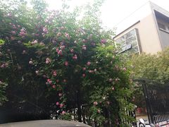 -梧桐阳光国际游泳健身会所(亚运村店)