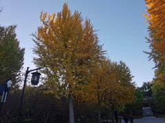 -北京西山国家森林公园