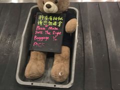 -上海浦东国际机场-T2航站楼
