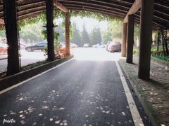 -重庆医科大学附属第一医院(金山院区)