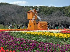 -苏州上方山国家森林公园