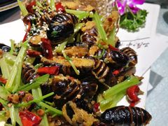 -东北大院·东北菜(三台子店)