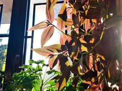餐具摆设-钰田大院·碳烤虹鳟鱼·怀柔地道农家菜(雁栖湖店)