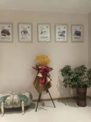 点击看大图 -Dr.林醫生产后修复·配方产康店(南京大厂店)