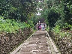 -青城山