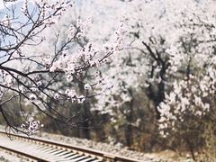 -居庸关长城