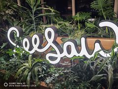 -Seesaw Coffee(朝阳大悦城店)