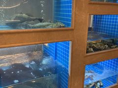 水产区-皇朝尊会(龙之梦大酒店)