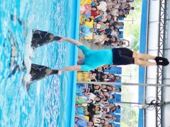 -尼莫海豚馆
